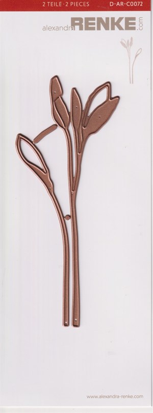 Sage, Dies, Alexandra Renke.*