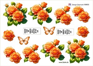 Orange roser, 3d-ark HM Design 