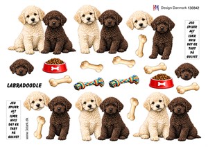 Labradoodle, 3d-ark HM Design 