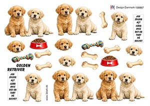 Golden Retriver, 3D ark - HM Design
