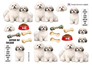 3D ark - HM Design, Hund coton de tulear.