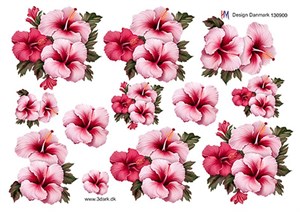 3D ark - HM Design, Lyserød syrisk rose.