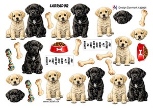 3D ark - HM Design, Labrador.