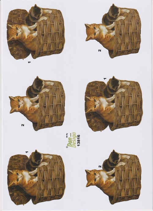 Katte i kurv, 3d ark, Dandesign