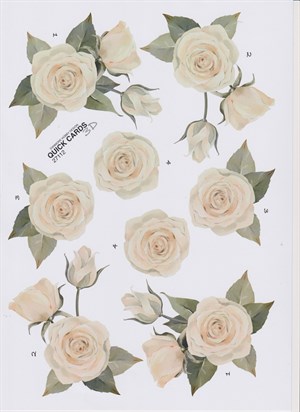 Hvid Rose, 3D ark - Quick Cards