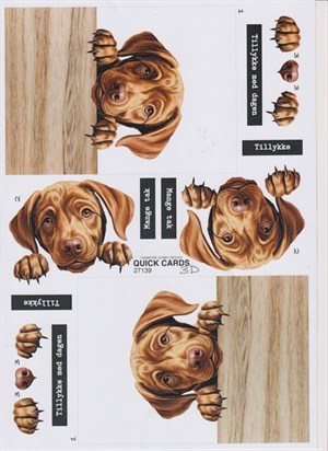  Hund Labrador, 3D ark - Quick Cards