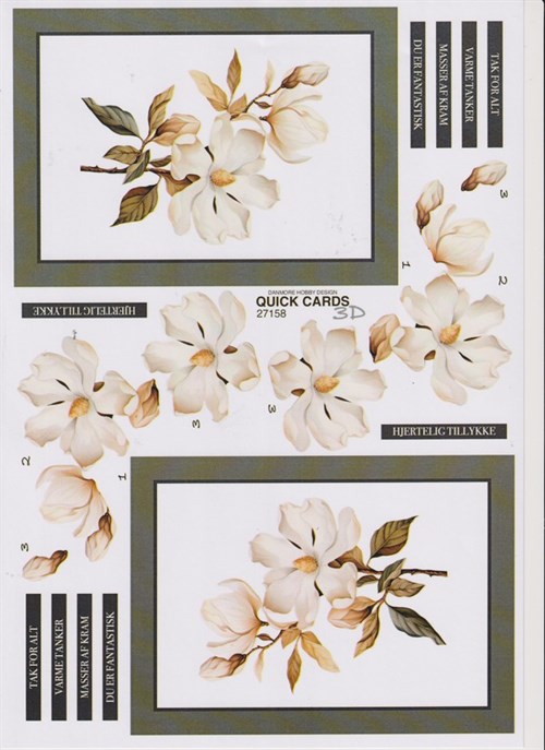 Magnolia blomster, 3D ark - Quick Cards