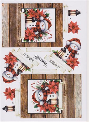  Snemand, 3D ark - Quick Cards