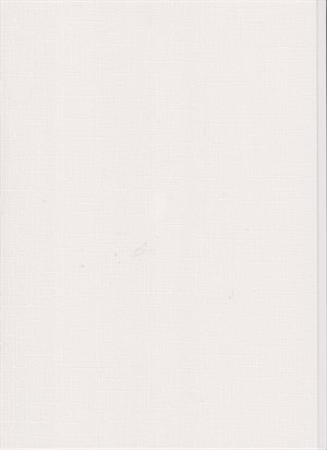 Florence • Cardstock Smooth. Off-White, 216g, A4 karton, 5 ark.