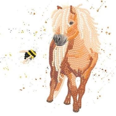 Kit Beau & Bumble, Diamond Card  