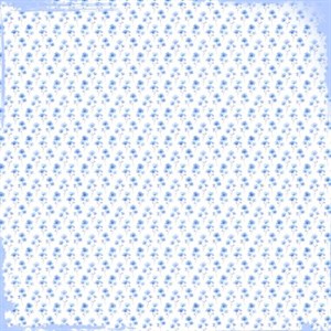  Scrapark, Felicita Design.