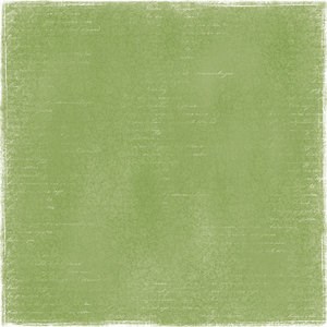 Life in the Country - Summer fields